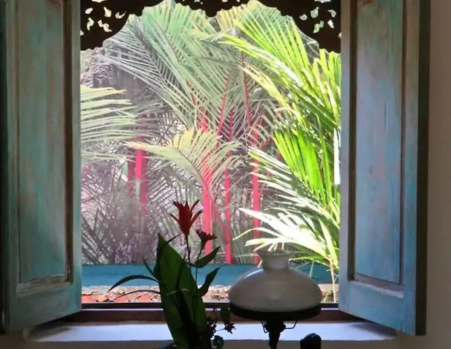 Appartamento Red Palms Blahbatu