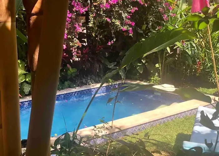 Red Palms * Blahbatu